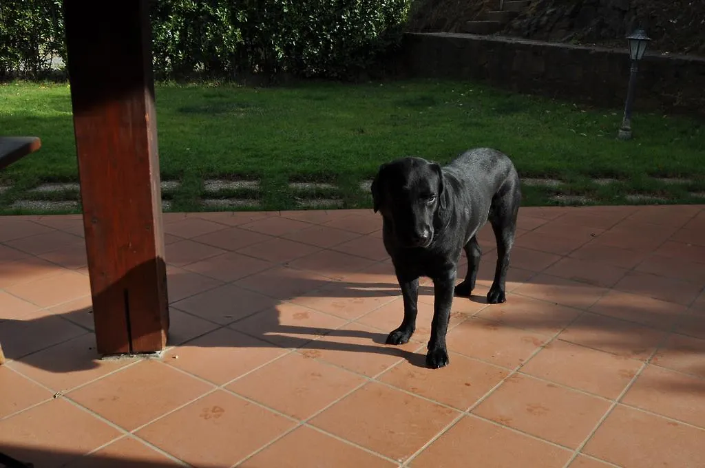 Agriturismo Il Cerrosughero Villa Scarlino 0*,