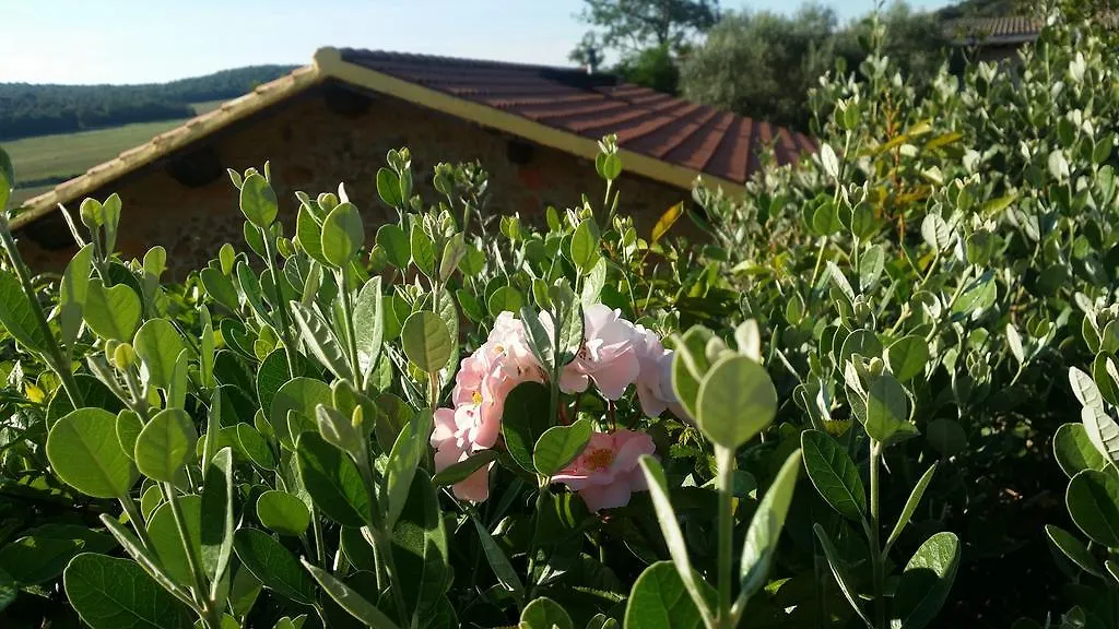 Agriturismo Il Cerrosughero Villa Scarlino Italy